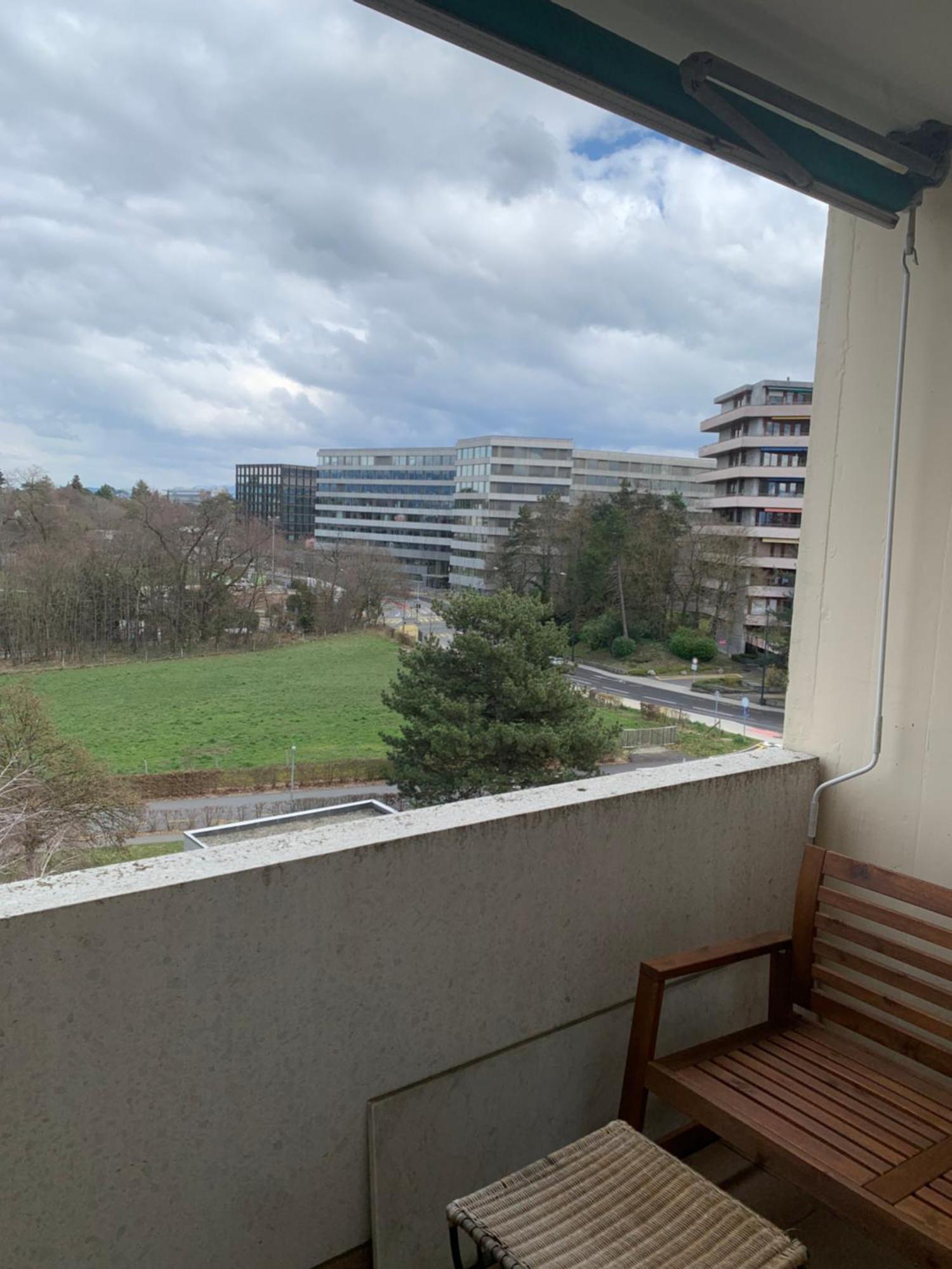 Beautiful 1-bed Near Palexpo, Un Agencies & Diplomatic Missions