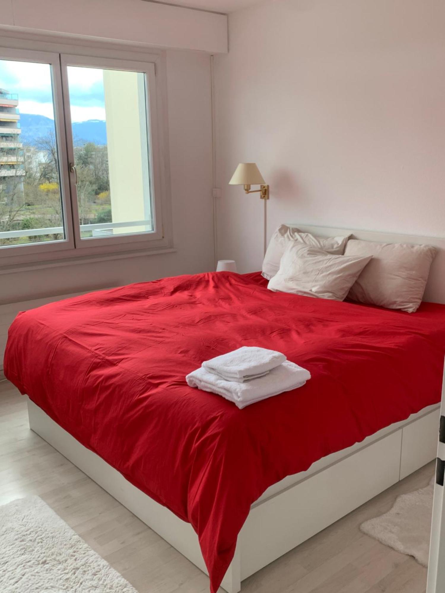 Appartement Beautiful 1-bed Near Palexpo, Un Agencies & Diplomatic Missions *